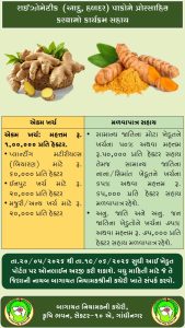 ભરૂચ જિલ્લામાં બાગાયતી ખેતી કરતાં અને કરવા માંગતા ખેડુતો માટે નવી ત્રણ  યોજનાઓ અમલી
