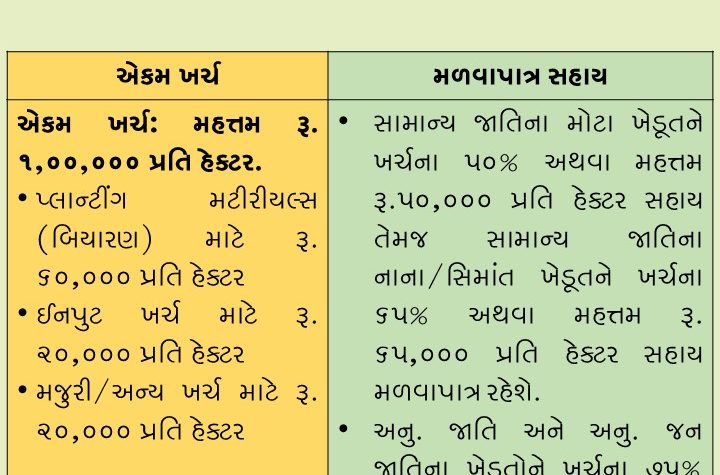 ભરૂચ જિલ્લામાં બાગાયતી ખેતી કરતાં અને કરવા માંગતા ખેડુતો માટે નવી ત્રણ  યોજનાઓ અમલી